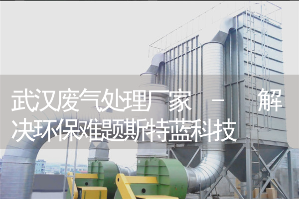 武汉废气处理厂家 - 解决环保难题斯特蓝科技